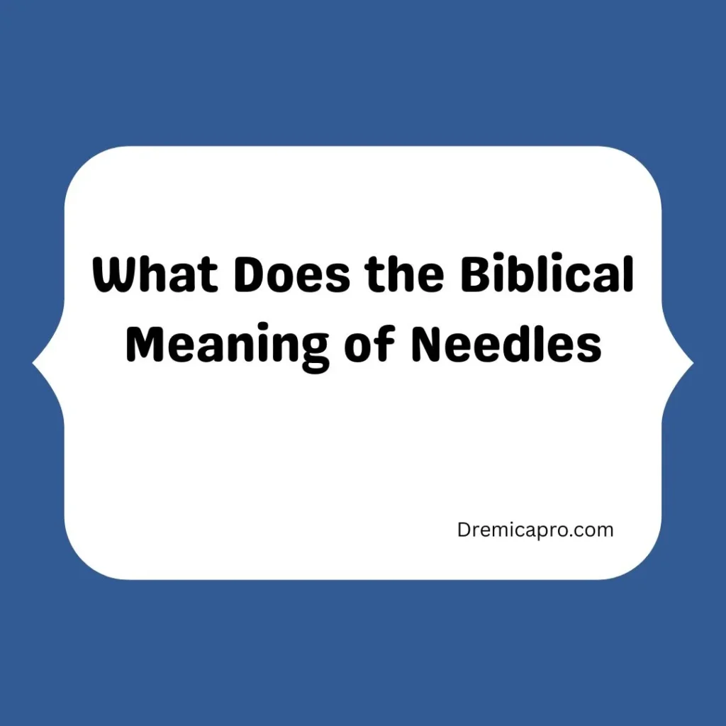 What Does the Biblical Meaning of Needles