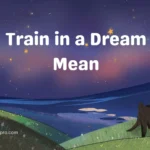 Train in a Dream Mean