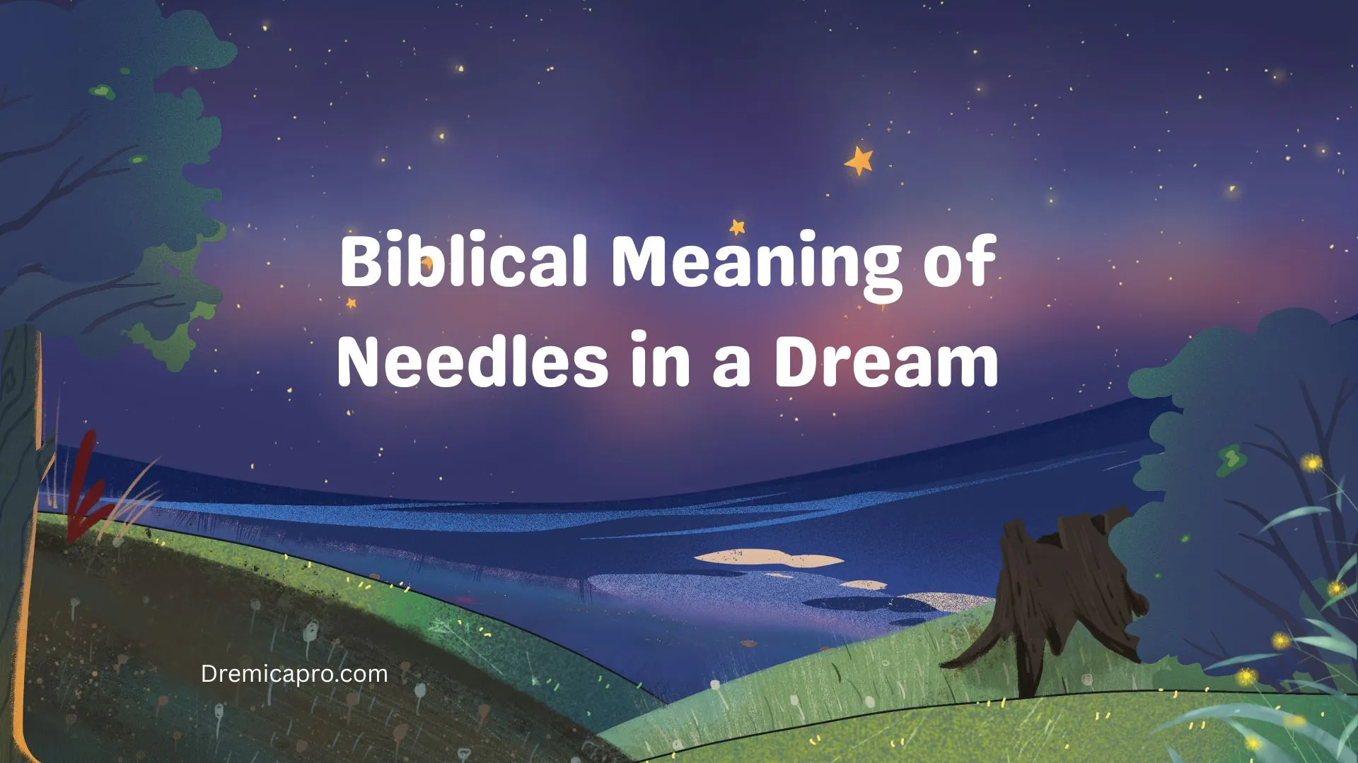 Biblical Meaning of Needles in a Dream