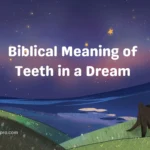 Biblical Meaning of Teeth in a Dream 