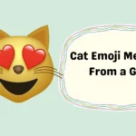 Cat Emoji Meaning From a Girl