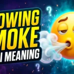 Blowing Smoke Emoji Meaning 
